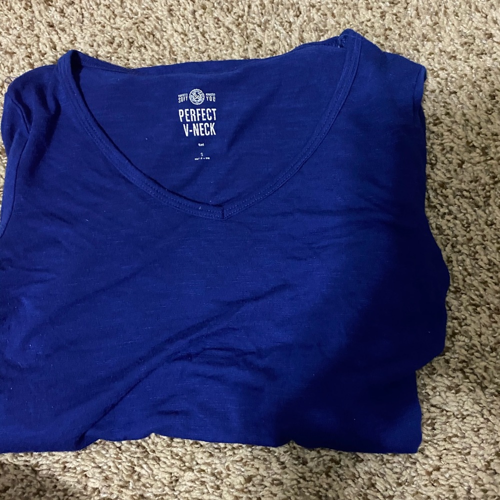 Blue long sleeve vneck shirt